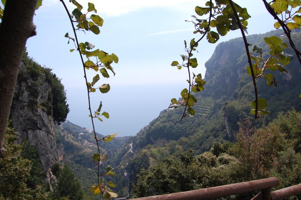 Bed and Breakfast La Cicogna Agerola Exteriér fotografie